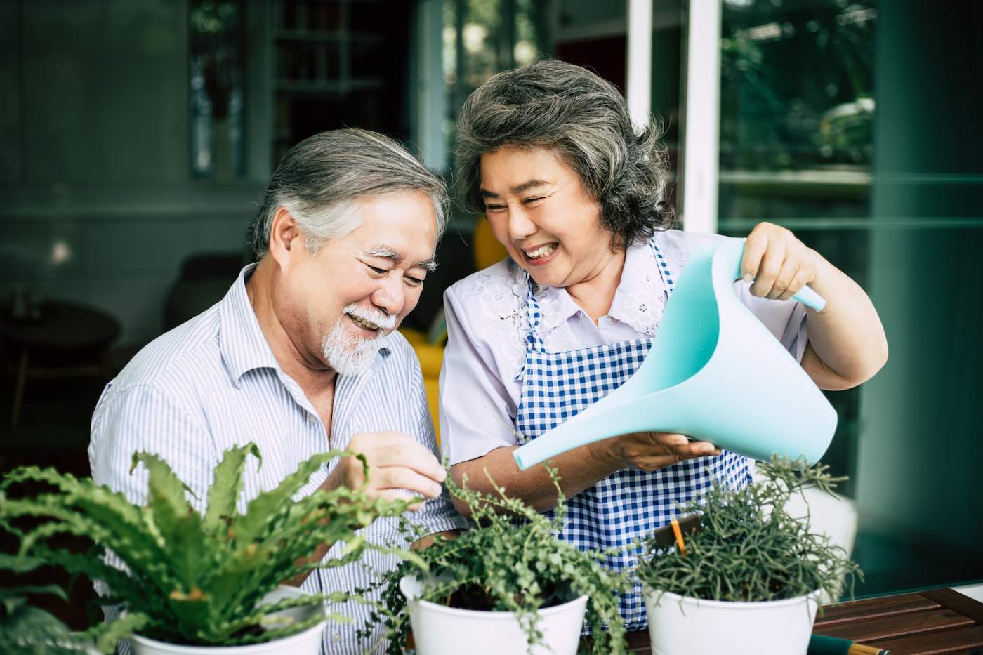 Người Nhật Bản có tuổi thọ cao nhất thế giới